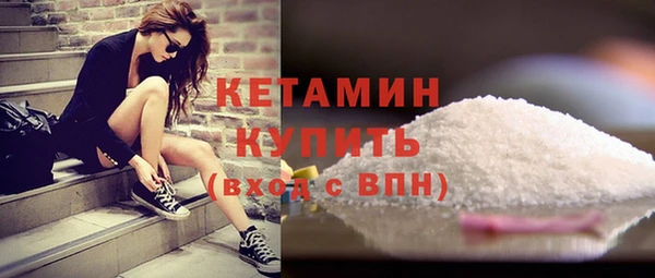 индика Кулебаки