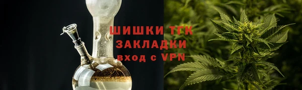 индика Кулебаки