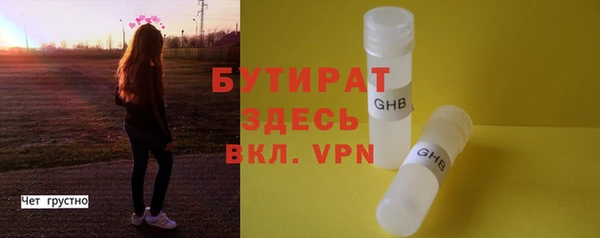 индика Кулебаки