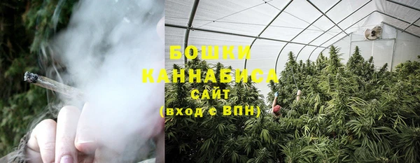 шишки Краснослободск