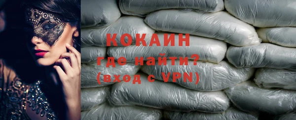 индика Кулебаки